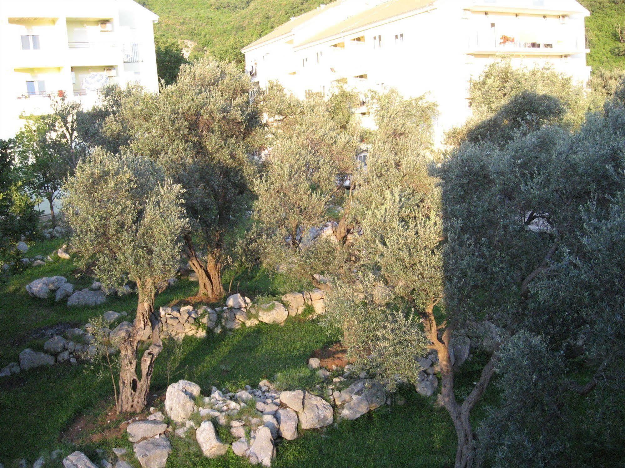 Villa San Marco Budva Exterior photo